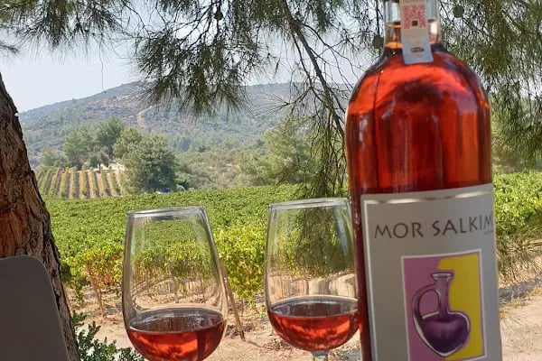Mor Salkım Bağları - Mor Salkım Vineyards - Resim 9