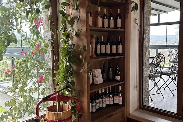 Mor Salkım Bağları - Mor Salkım Vineyards - Resim 19