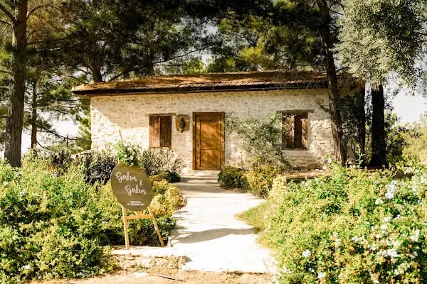 Mor Salkım Bağları - Mor Salkım Vineyards - Resim 5