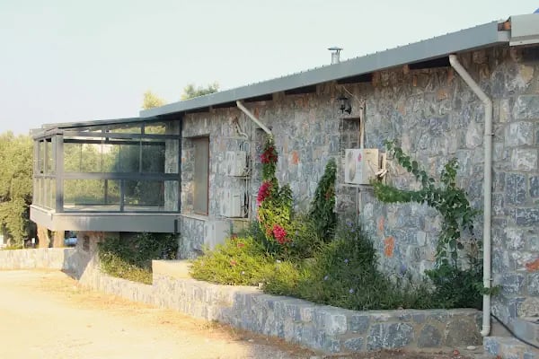 Mor Salkım Bağları - Mor Salkım Vineyards - Resim 18