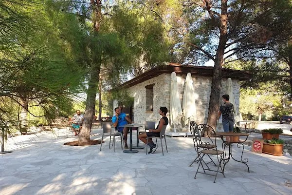 Mor Salkım Bağları - Mor Salkım Vineyards - Resim 7
