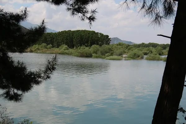Gölbaşı Gölü - Resim 11