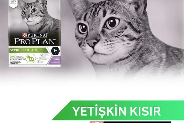 Pia Petshop - Resim 4