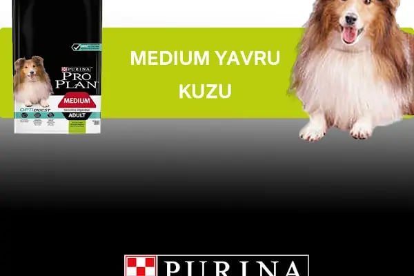 Pia Petshop - Resim 11