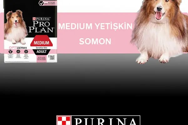 Pia Petshop - Resim 13
