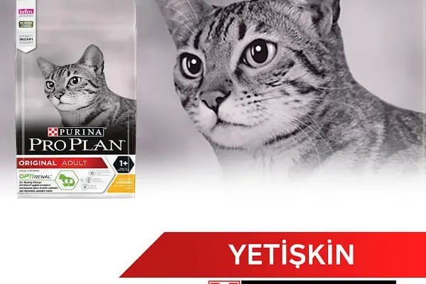 Pia Petshop - Resim 6