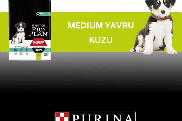 Pia Petshop - Resim 16