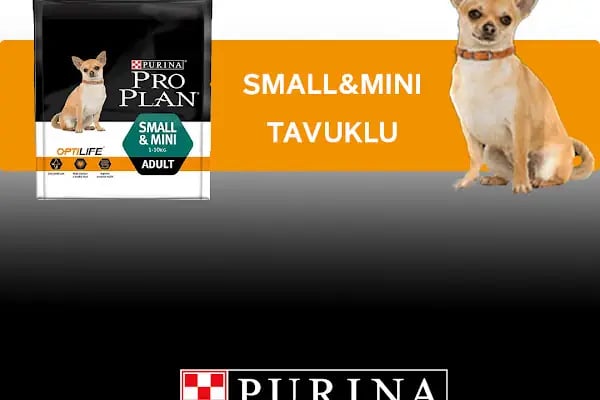 Pia Petshop - Resim 12