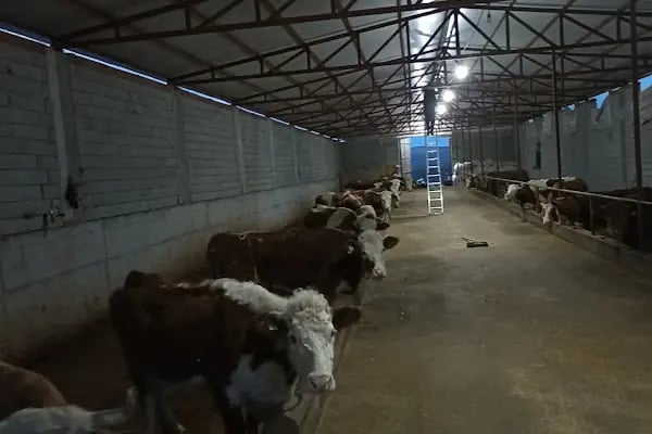 MİRAÇ BİLGİSAYAR VE GÜVENLİK KAMERASI SİSTEMLERİ - Resim 9