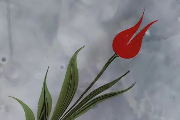 Biz Ebru Atölyesi - Resim 11
