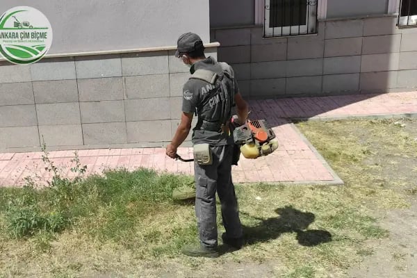 Ankara Çim Biçme - Resim 8
