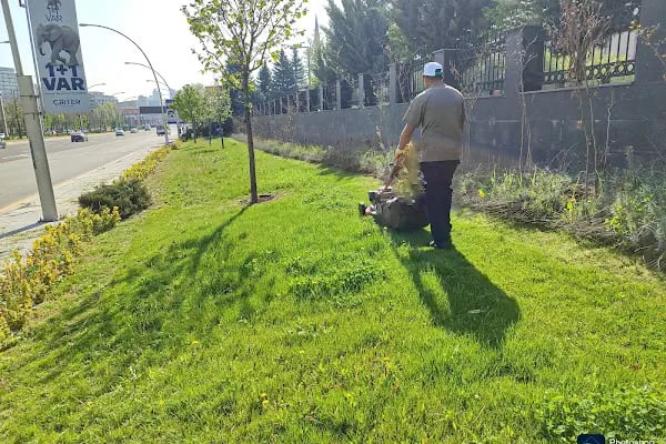 Ankara Çim Biçme - Resim 3