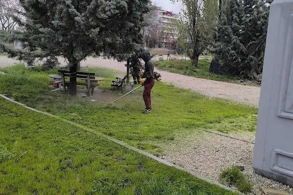 Ankara Çim Biçme - Resim 4