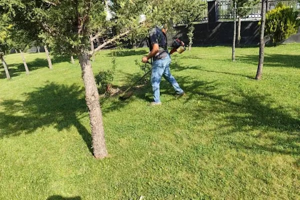 Ankara Çim Biçme - Resim 10