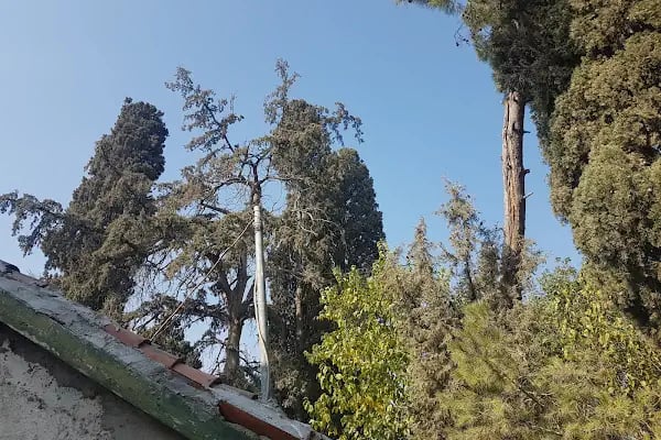 Karaca Ahmet Türbesi - Resim 7