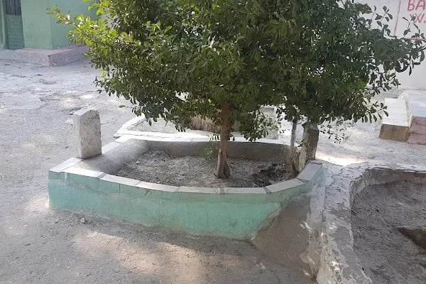 Karaca Ahmet Türbesi - Resim 19