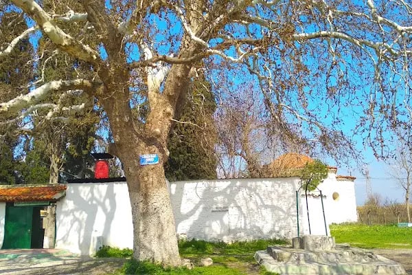 Karaca Ahmet Türbesi - Resim 14