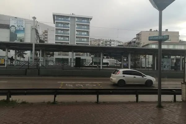 Sırameşeler - Resim 8