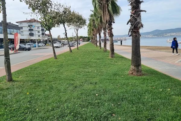 AliBaba Kocaeli - Resim 12