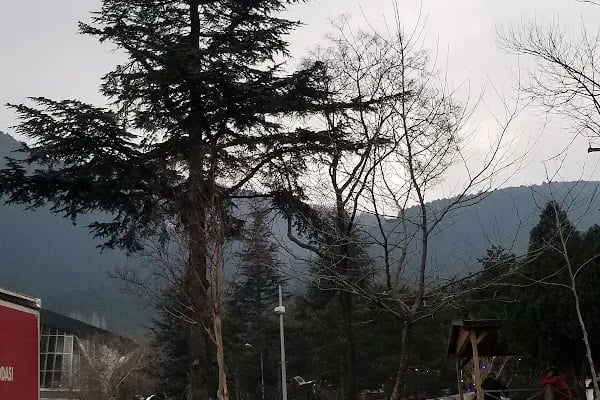 BURSA TELEFERİK - Resim 14