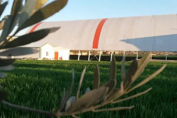 Sporyum Kapalı Halı Saha Tesisleri - Resim 5