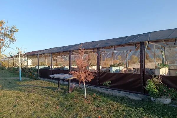 Göl Bahçe - Resim 20