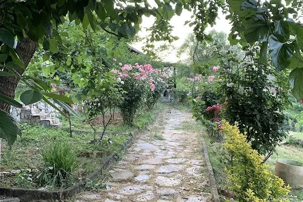 Saklı Cennet Esadiye Bungalow/Kahvaltı - Resim 12