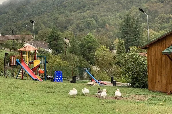 Saklı Cennet Esadiye Bungalow/Kahvaltı - Resim 10