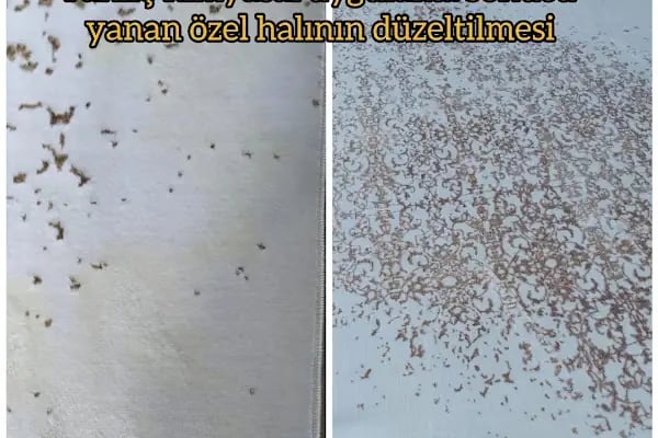 Antalya Erdem Halı Yıkama - Resim 13