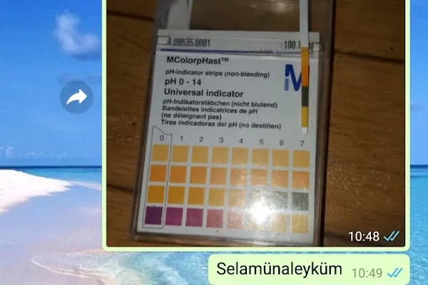 Antalya Erdem Halı Yıkama - Resim 18