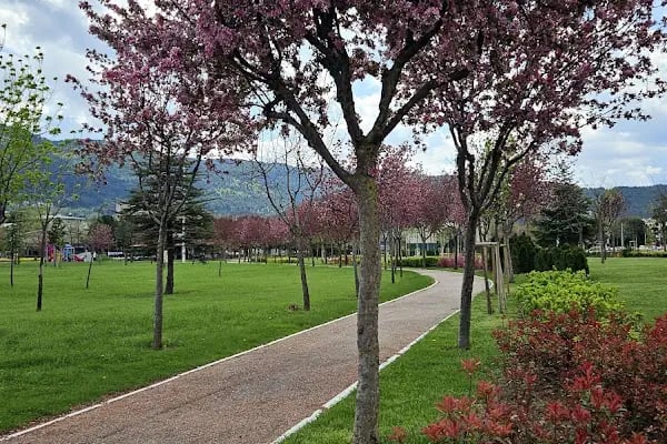 Mihraplı Kent Parkı - Resim 10