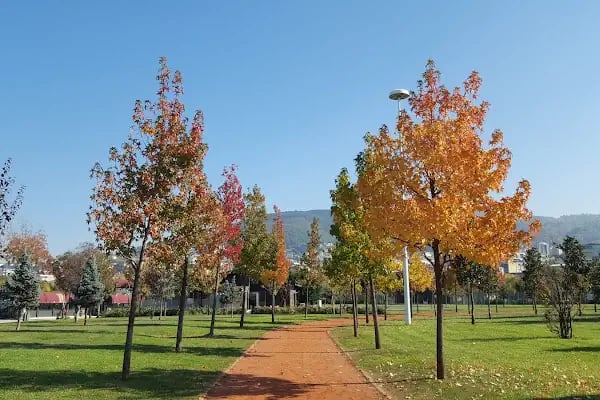 Mihraplı Kent Parkı - Resim 3