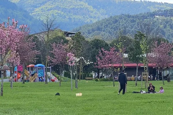 Mihraplı Kent Parkı - Resim 20