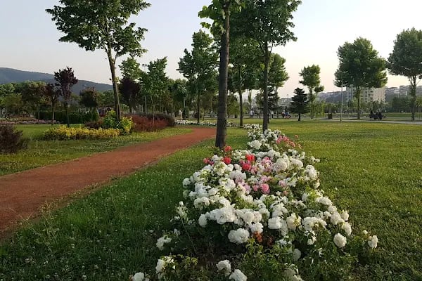 Mihraplı Kent Parkı - Resim 7