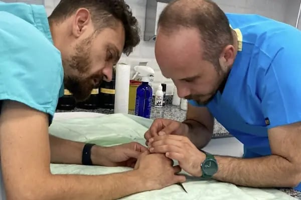 VetSante Veteriner Kliniği - Resim 19