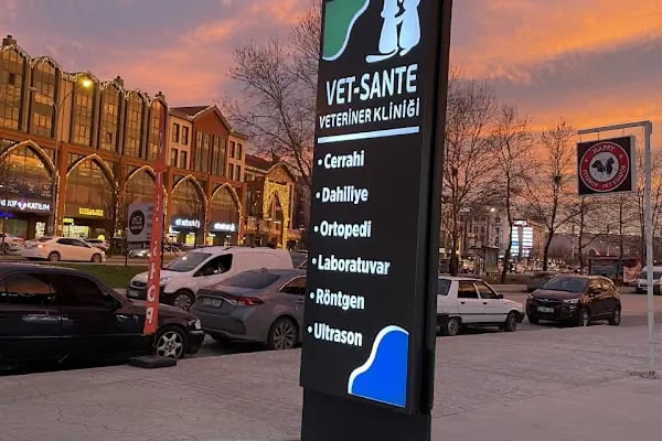 VetSante Veteriner Kliniği - Resim 3