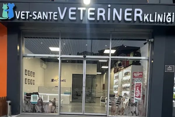 VetSante Veteriner Kliniği - Resim 2