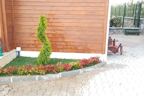 Kavanzade Konakları - Resim 8