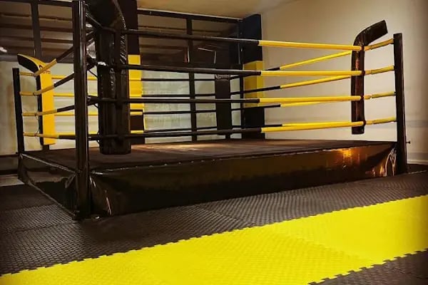 DRAGON FIGHT ACADEMY - Resim 2