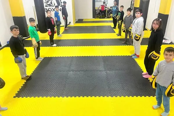 DRAGON FIGHT ACADEMY - Resim 12