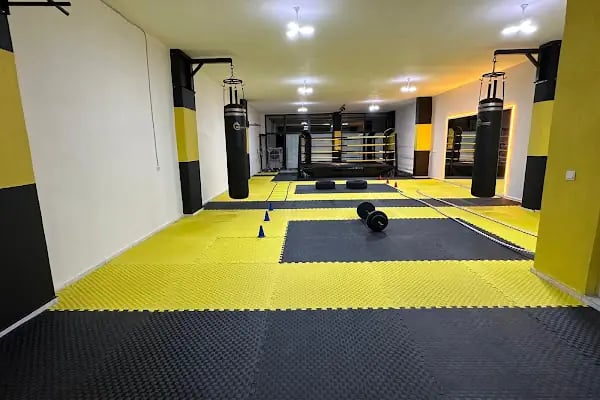 DRAGON FIGHT ACADEMY - Resim 15