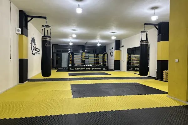 DRAGON FIGHT ACADEMY - Resim 14