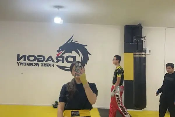 DRAGON FIGHT ACADEMY - Resim 3
