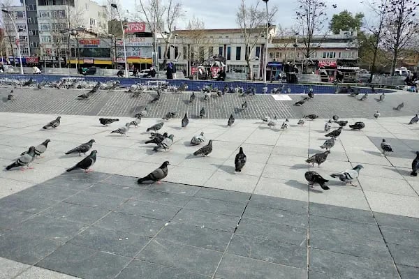 Gar Meydanı - Resim 10