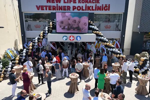 Bodrum Veteriner New life Konacık Veteriner Polikliniği - Resim 17