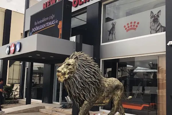 Bodrum Veteriner New life Konacık Veteriner Polikliniği - Resim 16