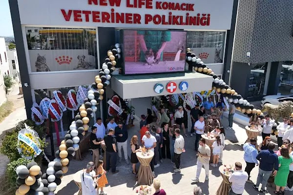 Bodrum Veteriner New life Konacık Veteriner Polikliniği - Resim 20