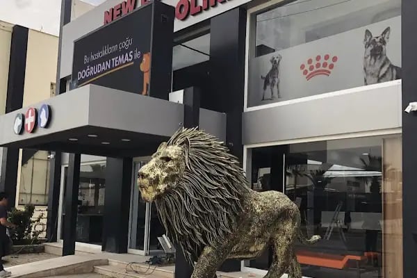 Bodrum Veteriner New life Konacık Veteriner Polikliniği - Resim 18
