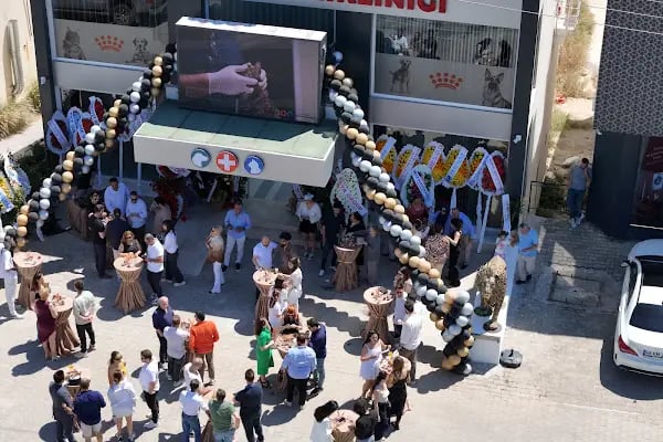 Bodrum Veteriner New life Konacık Veteriner Polikliniği - Resim 15