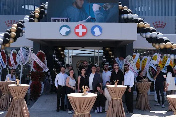 Bodrum Veteriner New life Konacık Veteriner Polikliniği - Resim 2